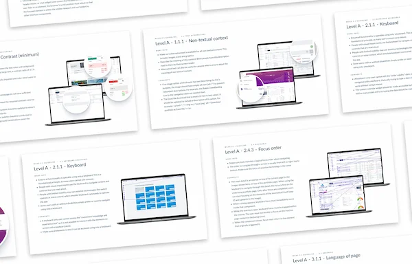 Grid of different findings from an accessibility audit of the Bolero Web platform